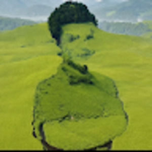 Meet your Posher, Lilly